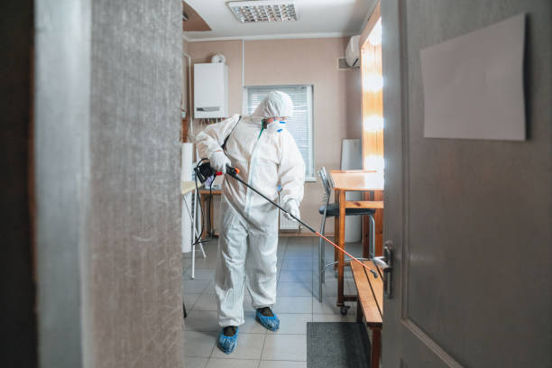 Best Post-Remediation Verification Testing  in Sierra Ridge, CO