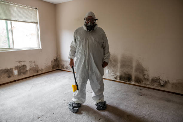 Best Mold Removal for HVAC Installations  in Sierra Ridge, CO